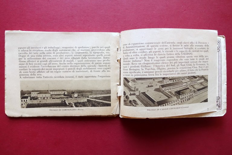 Il Bel Paese Atlantino Le Regioni d'Italia Illustrate G. De … | Immagine Gallery 6