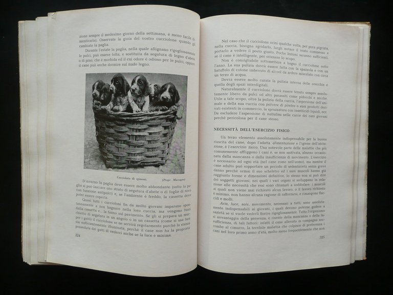 Il Cane Riproduzione Allevamento Cinofilia E. Tron Hoepli Milano 1954 …