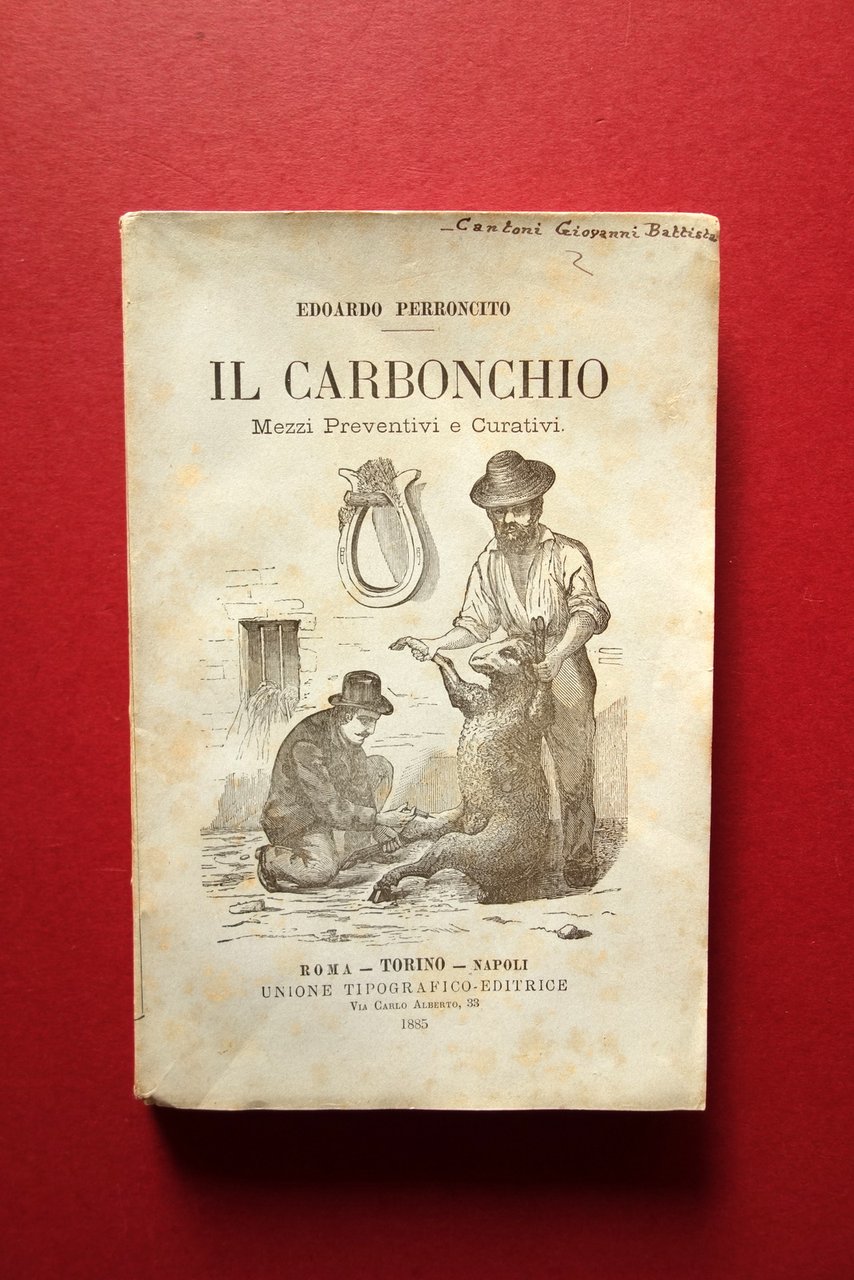 Il Carbonchio Mezzi Preventivi e Curativi E. Perroncito Torino 1885 … | Immagine principale