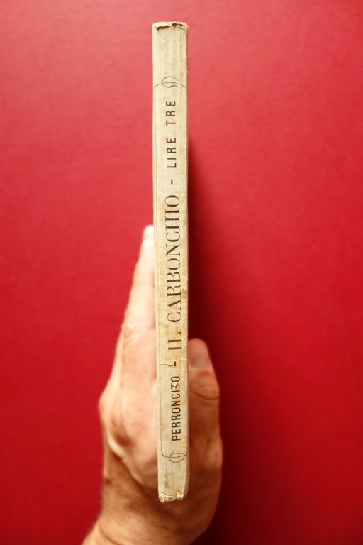 Il Carbonchio Mezzi Preventivi e Curativi E. Perroncito Torino 1885 … | Immagine Gallery 2