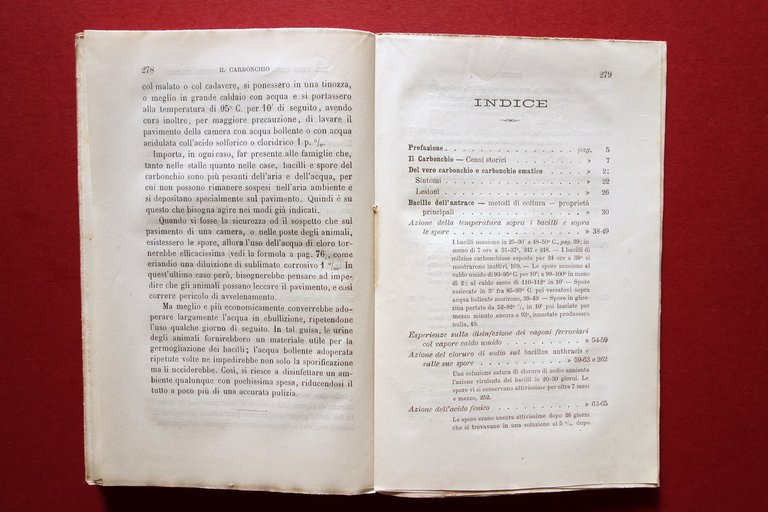 Il Carbonchio Mezzi Preventivi e Curativi E. Perroncito Torino 1885 … | Immagine Gallery 5