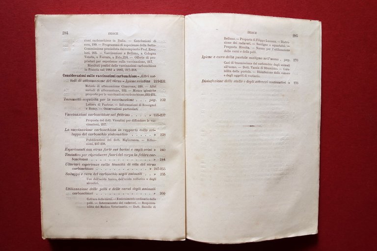 Il Carbonchio Mezzi Preventivi e Curativi E. Perroncito Torino 1885 … | Immagine Gallery 8