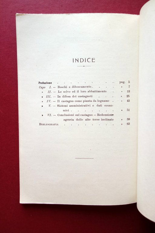 Il Castagno ed i Suoi Boschi Cedui Ettore Premi Battiato … | Immagine Gallery 3