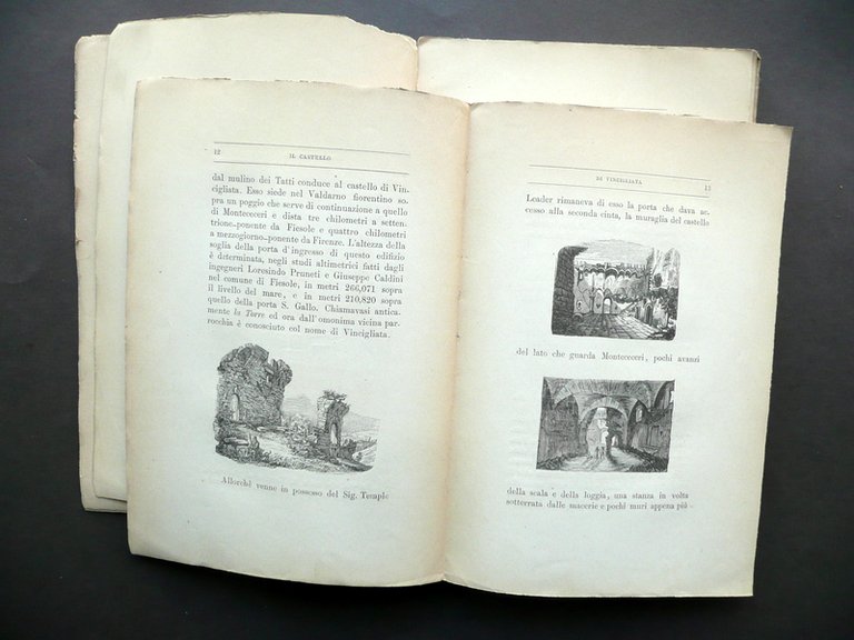 Il Castello di Vincigliata e i Suoi Contorni Tip. del …