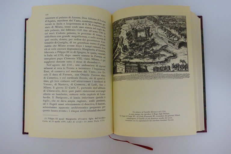 IL CASTELLO VISCONTEO SFORZESCO CALVI VALLARDI 1894 ED. ANASTATICA MILANO …