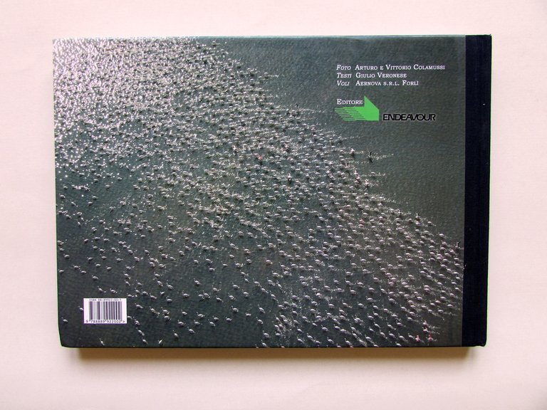 Il Delta del Po Guida Aerofotografica del Territorio Endeavour Ed. … | Immagine Gallery 2