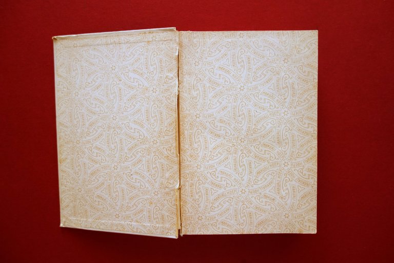 Il Giuoco degli Scacchi Seghieri Orsini Hoepli Milano 1907 III∞ …