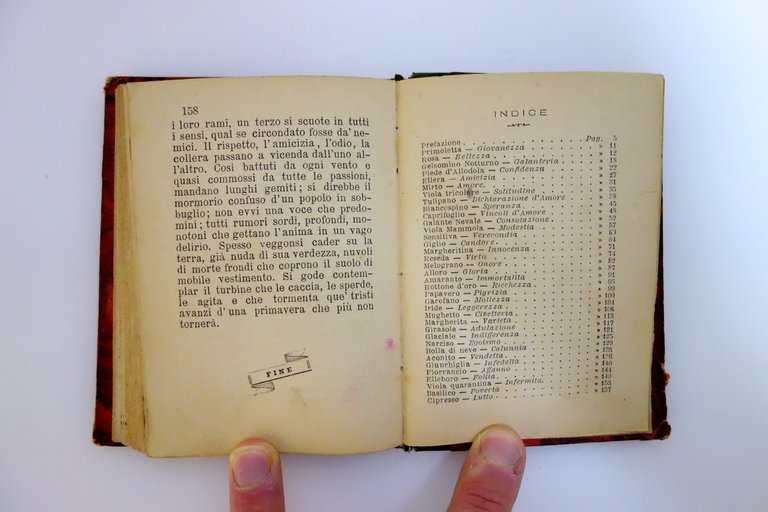 Il Linguaggio dei Fiori Carlo Barbini Milano 1881 5° Edizione … | Immagine Gallery 5