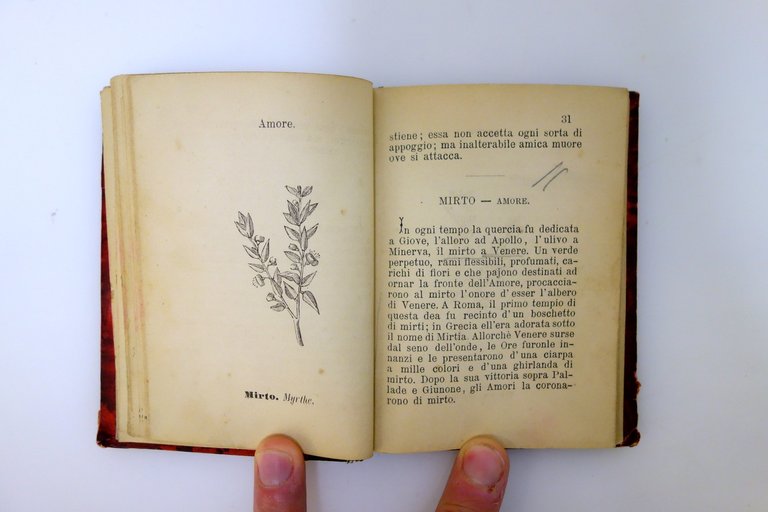Il Linguaggio dei Fiori Carlo Barbini Milano 1881 5° Edizione … | Immagine Gallery 7