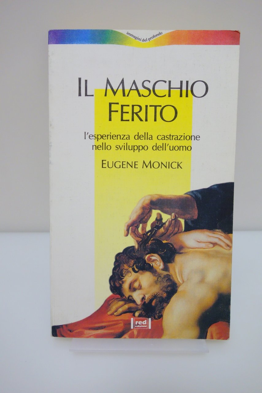 IL MASCHIO FERITO L'ESPERIENZA DELLA CASTRAZIONE NELLO SVILUPPO DELL'UOMO MONICK | Immagine principale