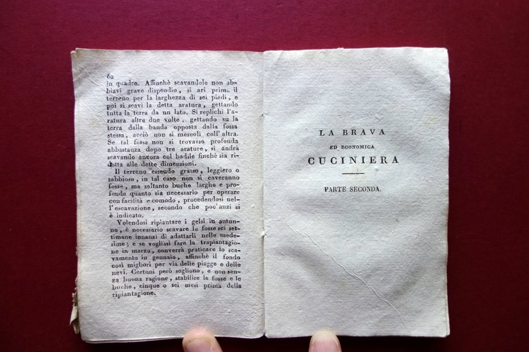 Il Massaro del Curato di Campagna Almanacco 1820 Silvestri Milano …