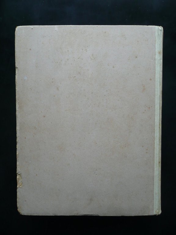 Il Mediterraneo Pittoresco Descritto da Celebri Viaggiatori Sonzogno Milano 1892