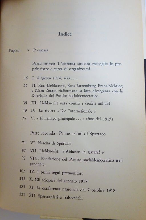 IL MOVIMENTO SPARTACHISTA BADIA ROSA LUXEMBURG KARL LIEBKNECHT SAMONA' SAVELLI | Immagine Gallery 3