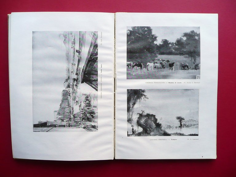 Il Paesaggio nella Pittura Campana dell' '800 Catalogo Mostra Napoli …