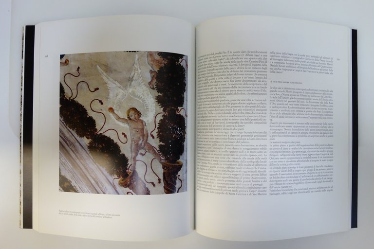 IL PALAZZO DEI PIO A CARPI SETTE SECOLI ARCHITETTURA ARTE … | Immagine Gallery 3