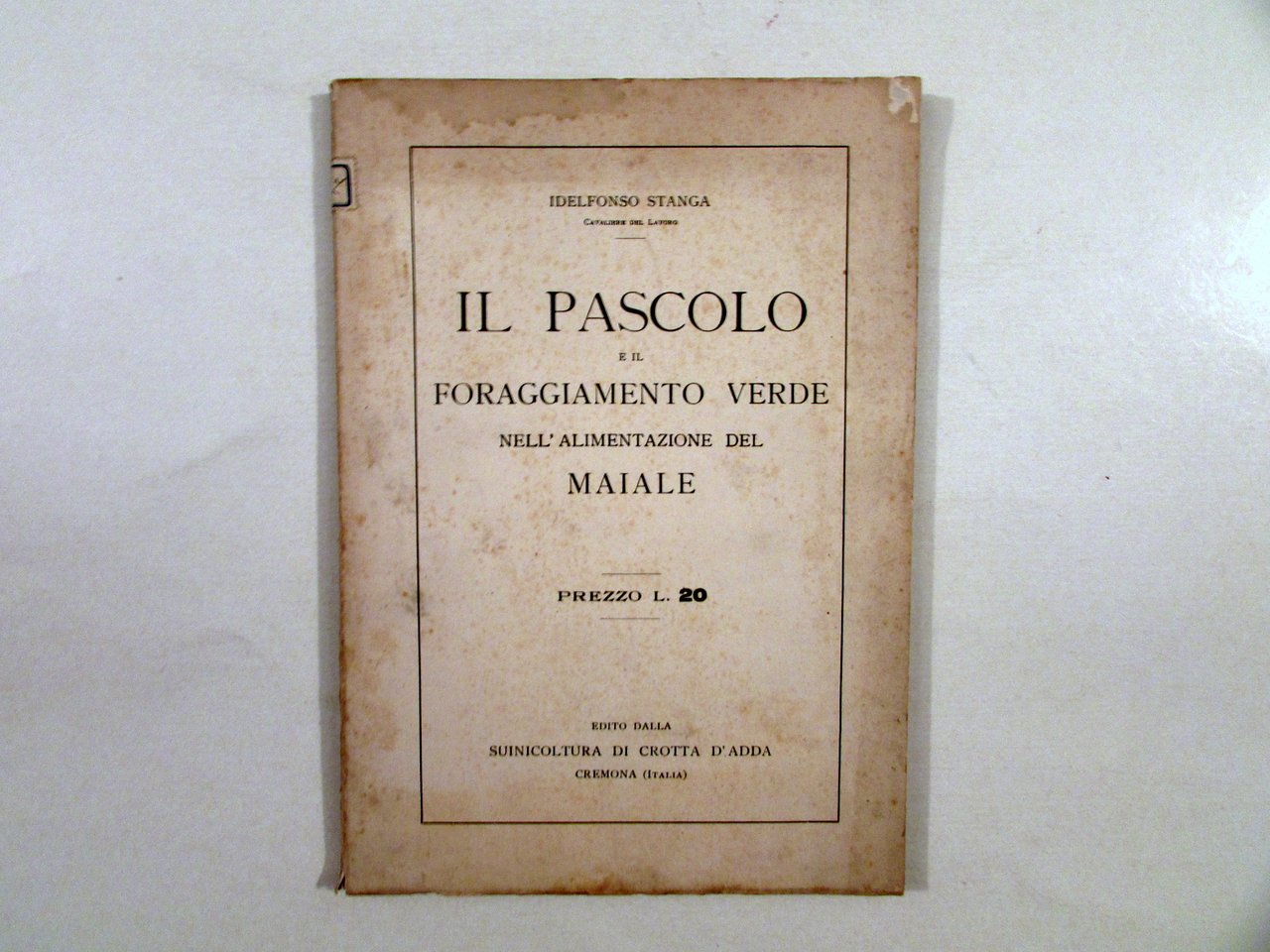 Il Pascolo e il Foraggiamento Verde Alimentazione del Maiale I. … | Immagine principale