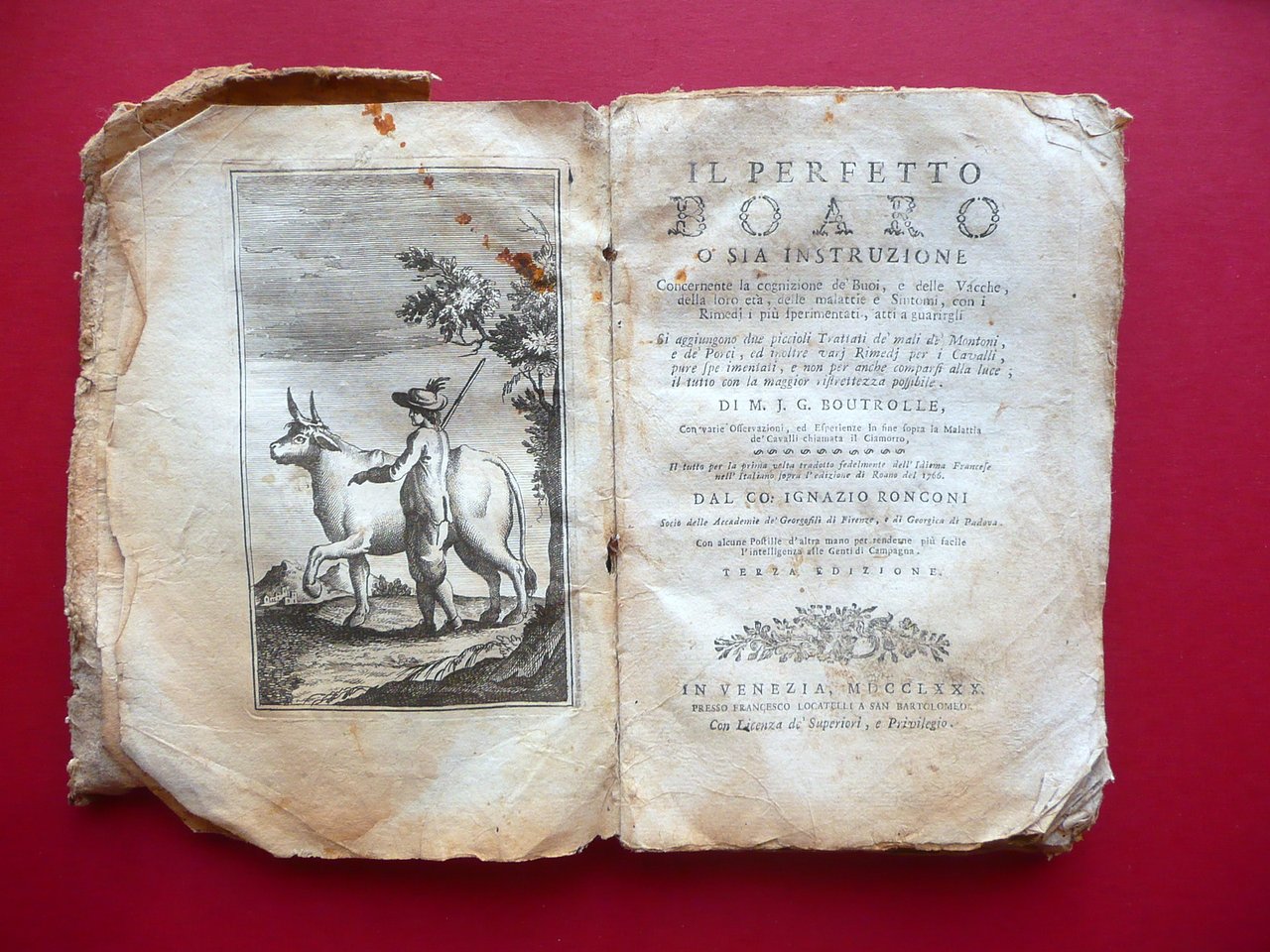 Il Perfetto Boaro Boutrolle Locatelli Venezia 1780 Buoi Vacche Porci …