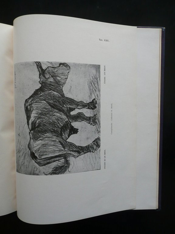 Il Pittore Mario Puccini Tinti Istituto Italiano d'Arti Grafiche Bergamo …
