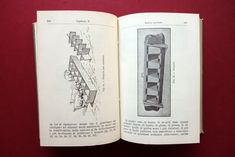 Il Porco Razze Allevamento Industrie F. Faelli Hoepli Milano 1911 … | Immagine Gallery 5