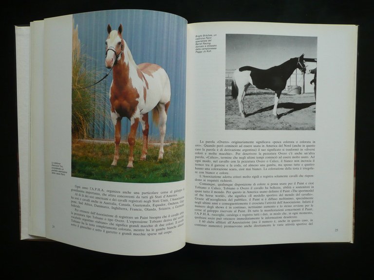 Il Quarter Horse e Altre Razze del West Enzo Berner …