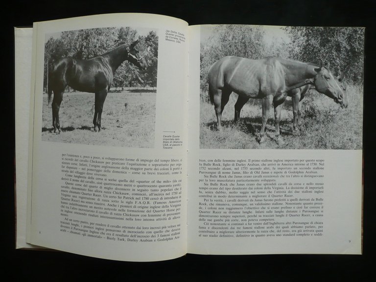 Il Quarter Horse e Altre Razze del West Enzo Berner …