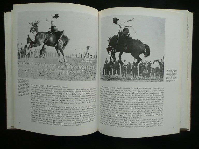 Il Quarter Horse e Altre Razze del West Enzo Berner …