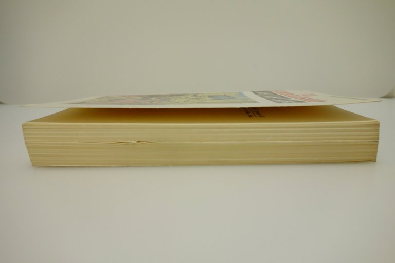 IL SIMBOLISMO MEDIEVALE DAVY EDIZIONI MEDITERRANEE 1988