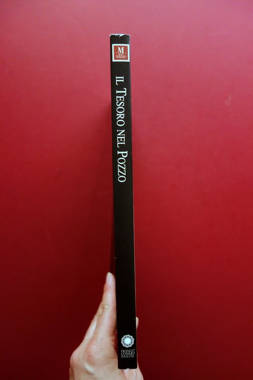 Il Tesoro nel Pozzo Pozzi Deposito e Tesaurizzazioni Panini Modena …