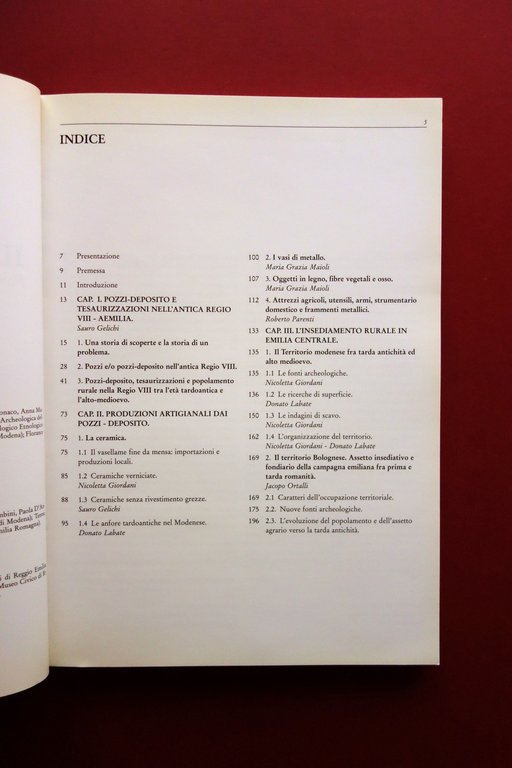 Il Tesoro nel Pozzo Pozzi Deposito e Tesaurizzazioni Panini Modena …