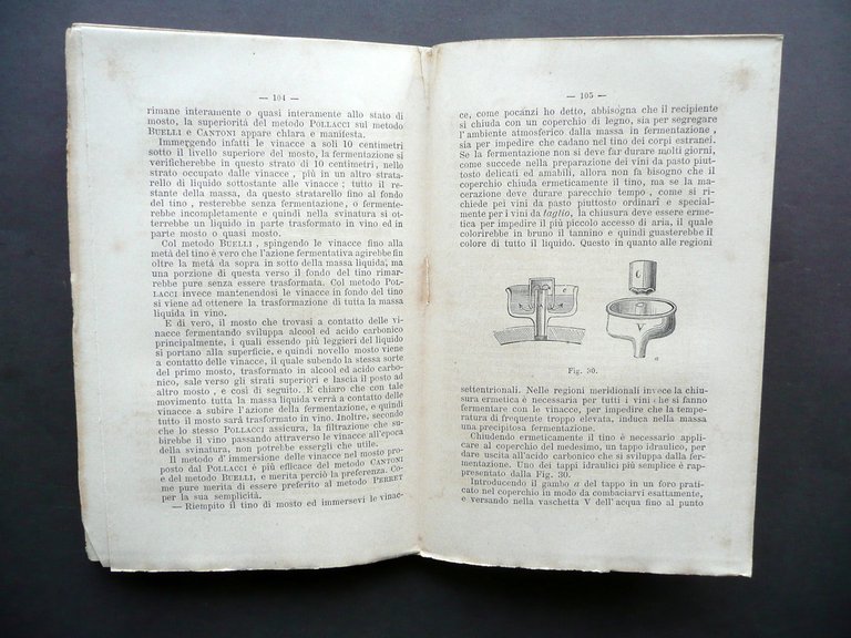 Il Vino da Pasto e da Taglio Manuale Teorico Pratico … | Immagine Gallery 4