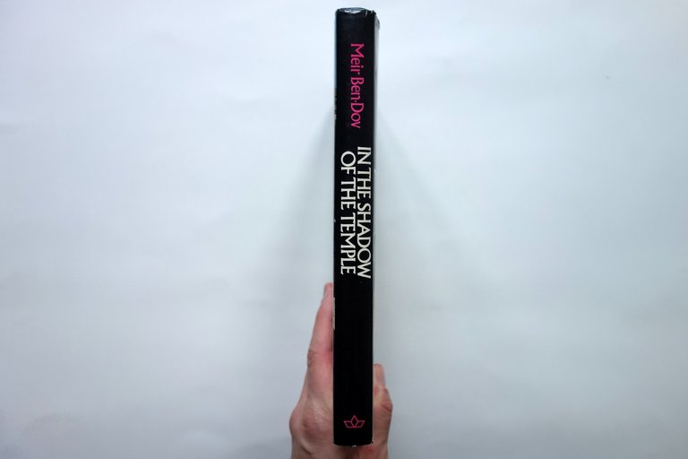 In The Shadow of the Temple Discovery Ancient Jerusalem Meir …