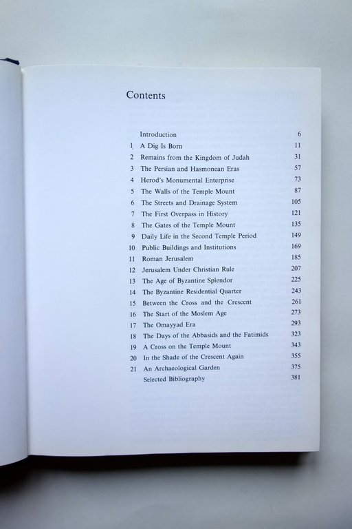 In The Shadow of the Temple Discovery Ancient Jerusalem Meir …