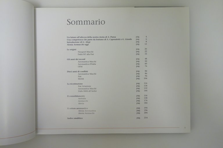 In Volo da 100 Anni dal 1913 ad Aermacchi 1913 … | Immagine Gallery 3