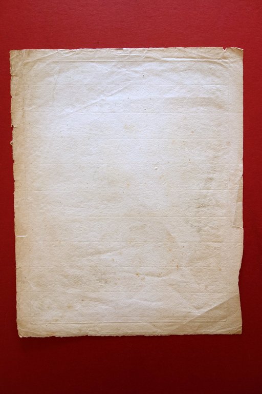 Incisione Frontespizio(?) Histoire Naturelle des Insectes Audebert XVIII∞ Secolo