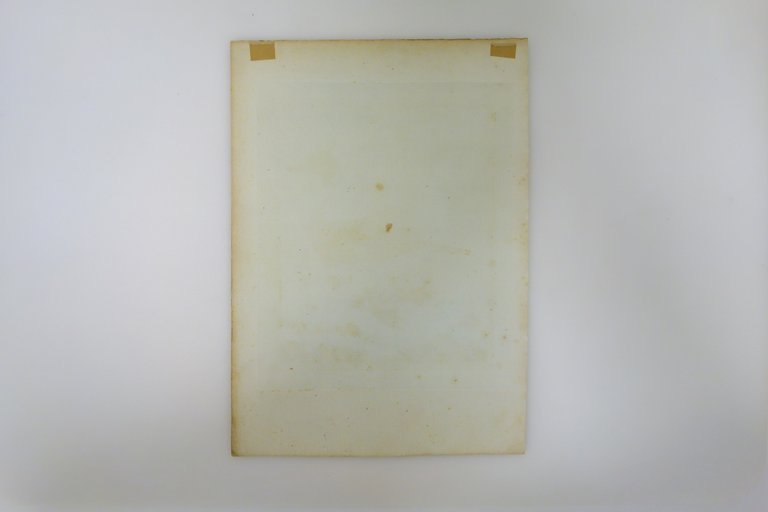 Incisione Martinet Buffon Histoire Naturelle Oiseaux Le Harle Femelle '700 | Immagine Gallery 2