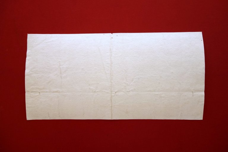 Incisione Originale Citt‡ di Avignone Contea di Venaisin Provenza Francia …