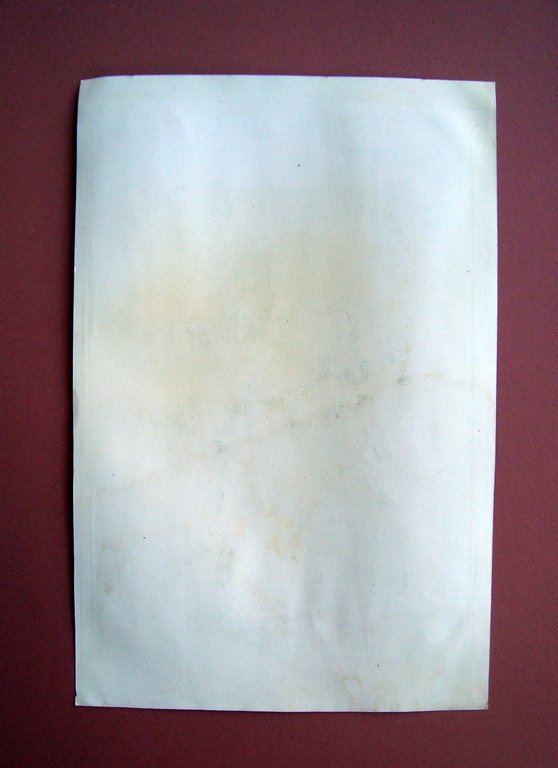 Incisione rame met‡ '800 S.Francesco S.Borromeo adorazione statua della Vergine