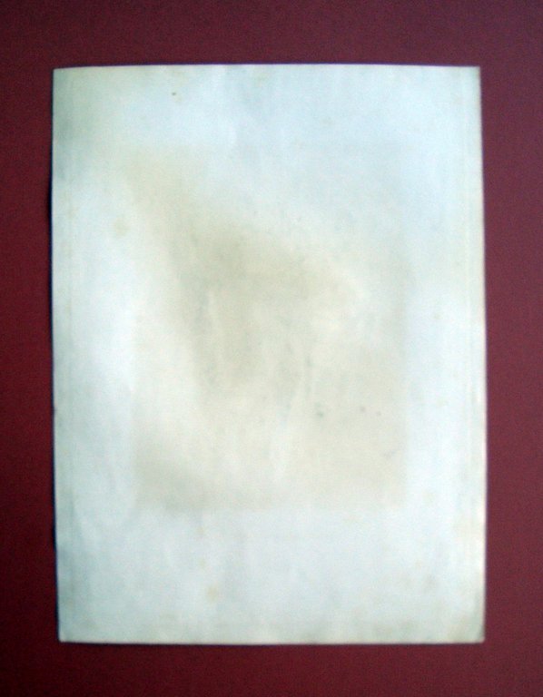 Incisione rame S.Giuliano L'Ospitale Galleria Pitti Firenze 1842 | Immagine Gallery 2