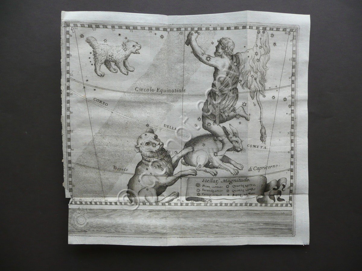 Incisione Segno Zodiacale Tropico del Capricorno Cometa Astrologia Settecento