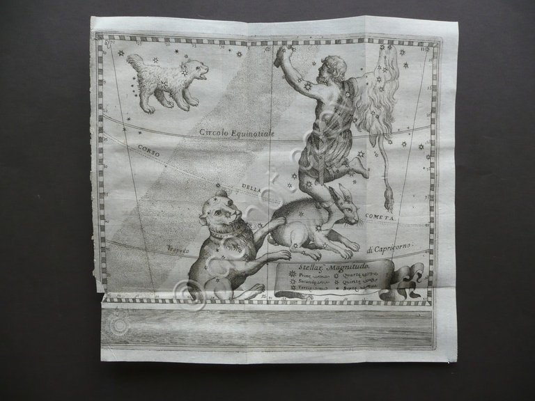 Incisione Segno Zodiacale Tropico del Capricorno Cometa Astrologia Settecento