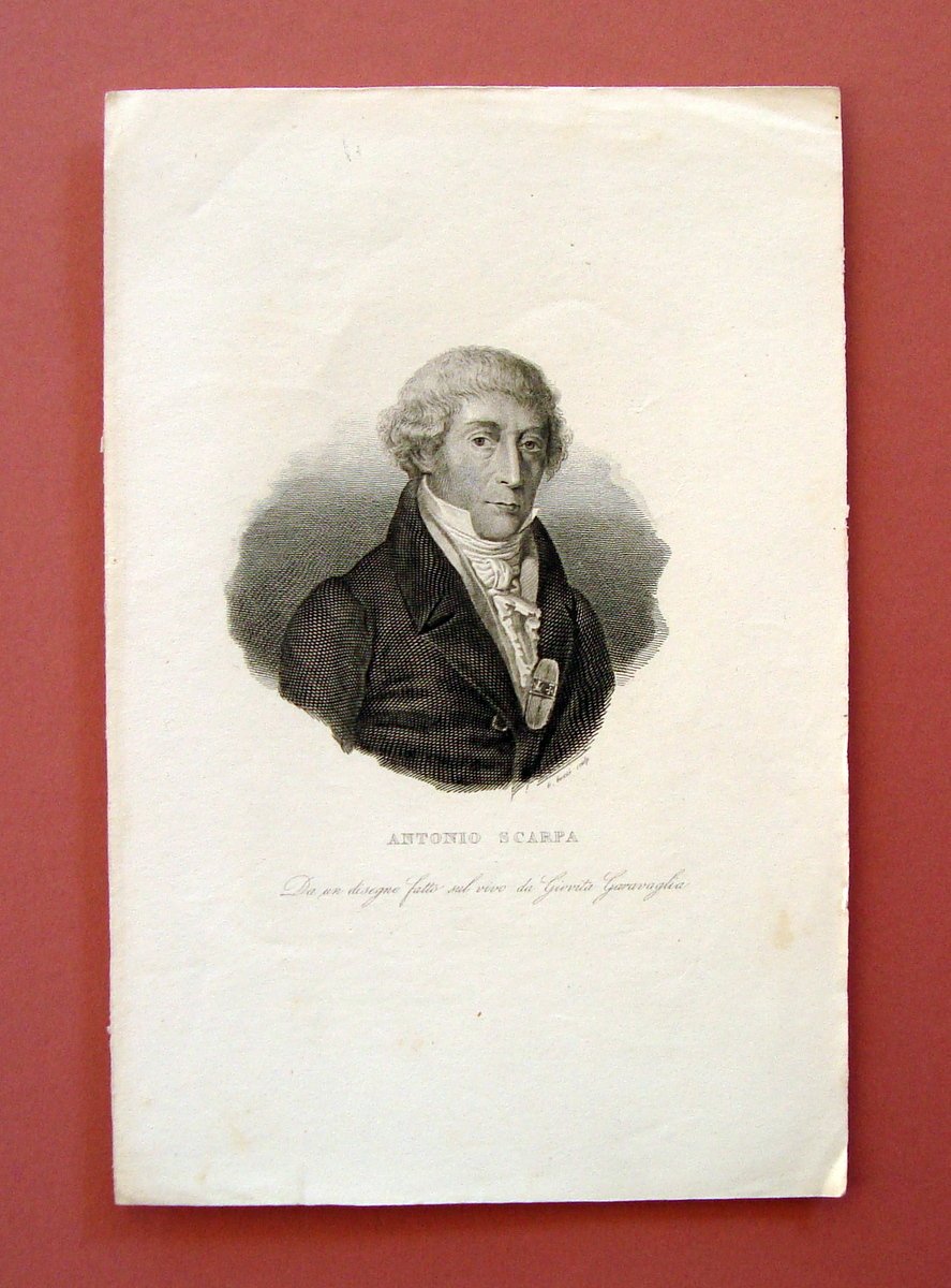 Incisione su rame Antonio Scarpa prima met‡ Ottocento