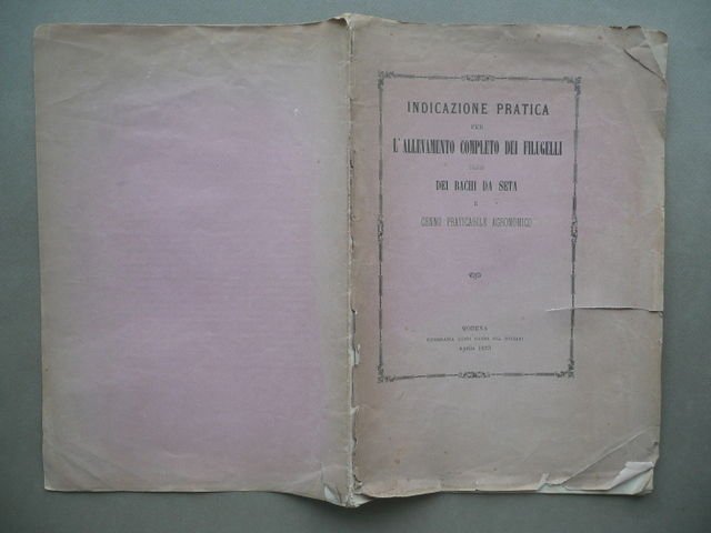 Indicazione Pratica Per Allevamento Completo Filugelli Bachi Da Seta Gaddi … | Immagine principale