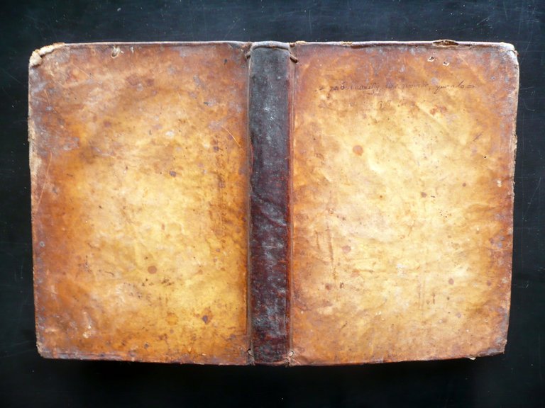 Institutiones Canonicae ad Virum Amplissimum J. Paschalis Cyrilli Napoli 1745 | Immagine Gallery 2