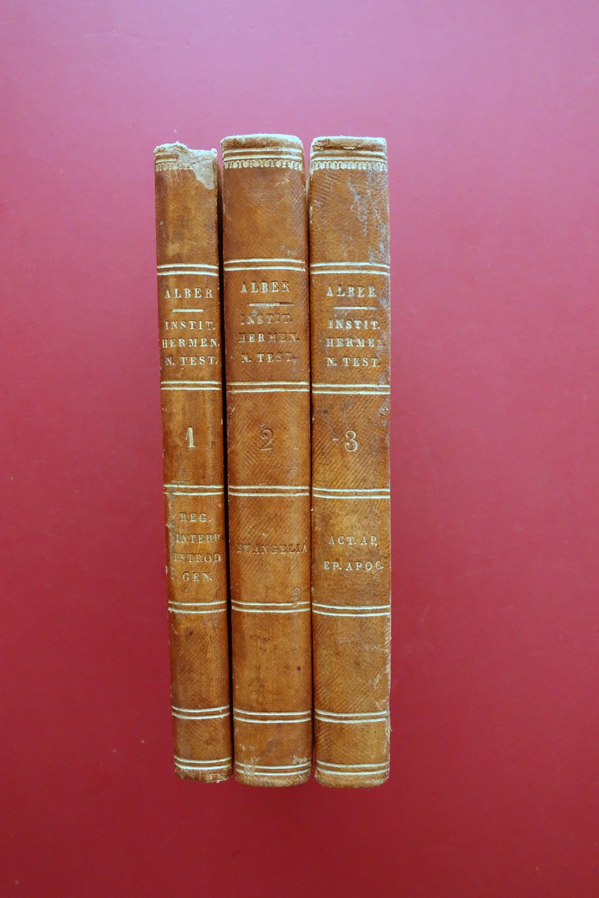 Institutiones Hermeneuticae Scripturae Sacrae Novi Testamenti Alber 1830 | Immagine principale