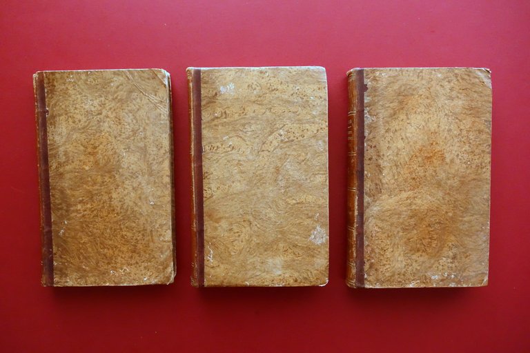 Institutiones Hermeneuticae Scripturae Sacrae Novi Testamenti Alber 1830 | Immagine Gallery 3