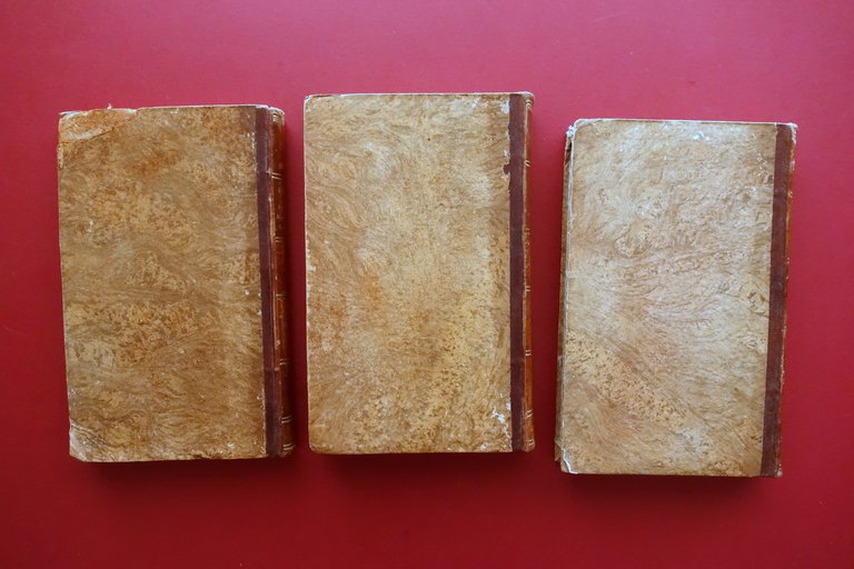 Institutiones Hermeneuticae Scripturae Sacrae Novi Testamenti Alber 1830 | Immagine Gallery 4