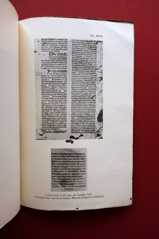 Ioannis Duns Scoti Theologiae Marianae Elementa Kacic Sibenici 1933 | Immagine Gallery 4
