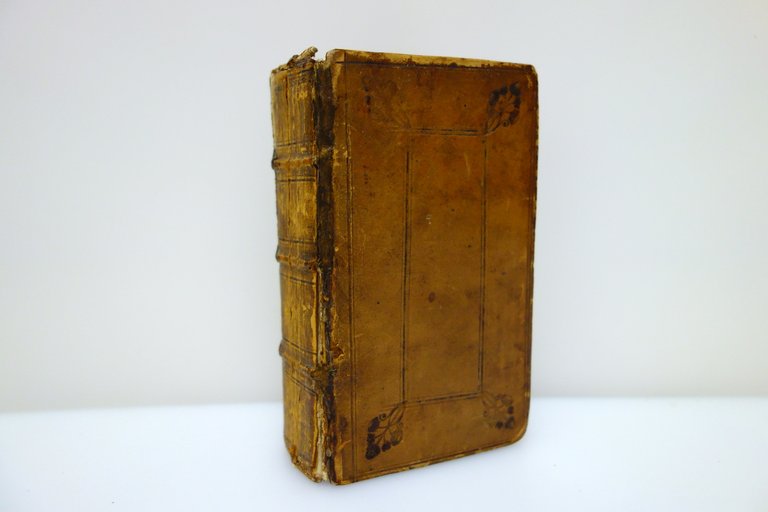 Iohannis Baptistae Portae Magiae Naturalis Weyerstraten Amsterdam 1664 Raro