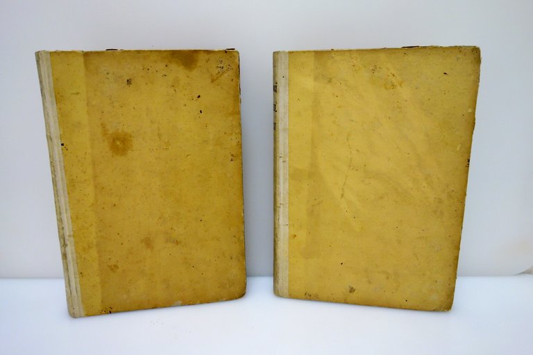 Ippologia Trattato Universale de'Cavalli Gazzola Batelli 1842 Tavole a Colori | Immagine Gallery 3