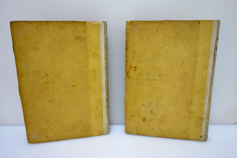 Ippologia Trattato Universale de'Cavalli Gazzola Batelli 1842 Tavole a Colori | Immagine Gallery 4